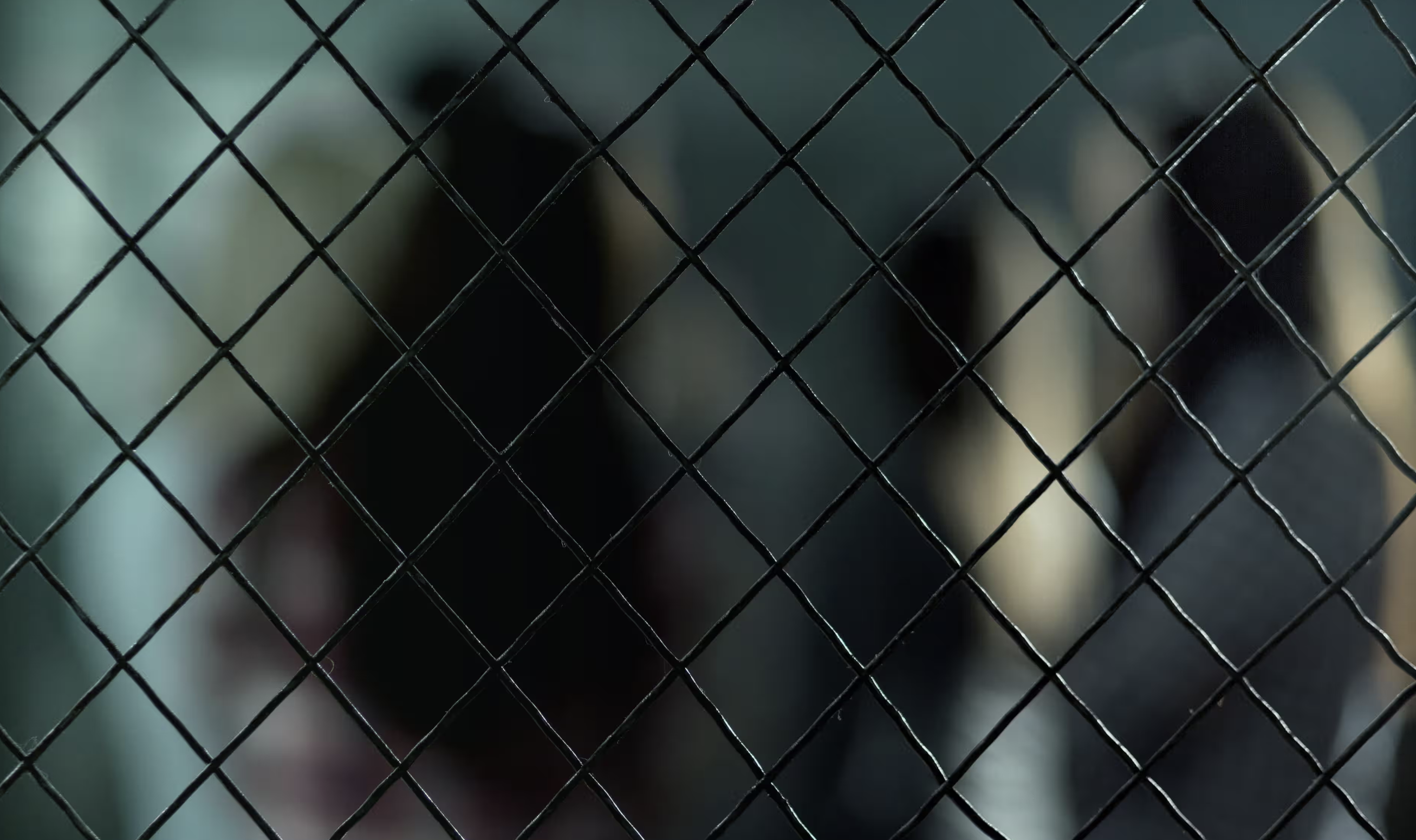 Image of individuals blurred behind fenced bars.
